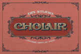 Product image of Cholair