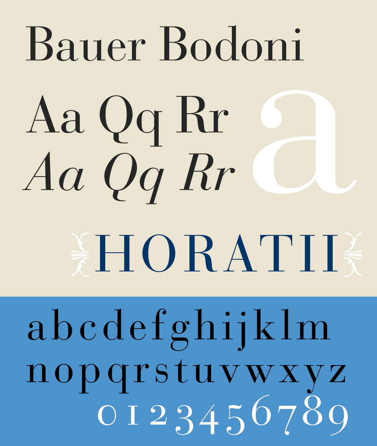 7. Bodoni Font